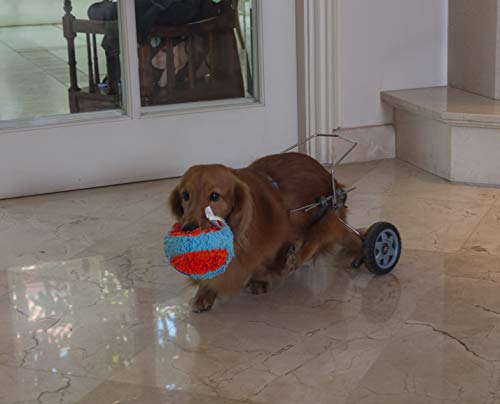 ChuckIt! Indoor Tumbler Toy Ball for Dogs