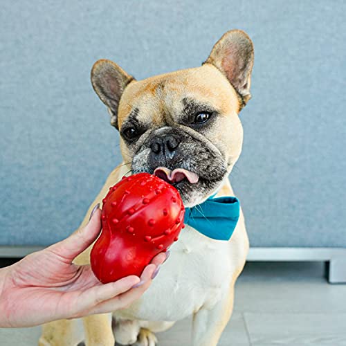 Nylabone Strong Chew Cone Stuffable Chew Toy for Dogs Cone Bacon Small/Regular (1 Count)