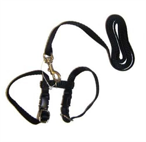Marshall Pet Products Harness and Lead (Black)
