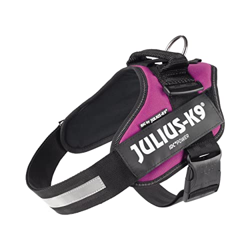 IDC Powerharness, Size: L/1, Dark Pink