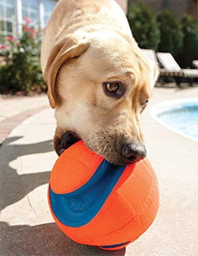 Chuckit Kick Fetch Ball Dog Toy, Small (6 Inch)