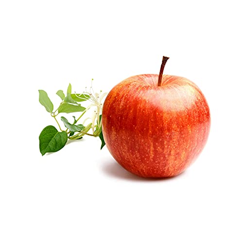 Derek Lam 10 Crosby, Drunk On Youth Eau De Parfum, Fragrance Mist For Women, Fruity and Floral Scent, Perfume Spray With Apple And Honeysuckle Accords, 3.4 Oz