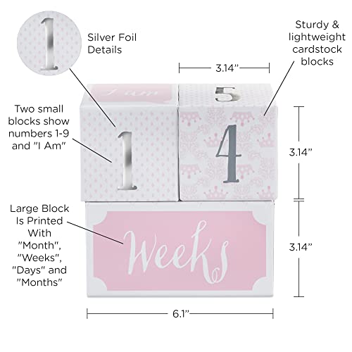 Baby Aspen My First Milestone Princess Age Blocks | Baby Picture Props for Photo Sharing The First Year
