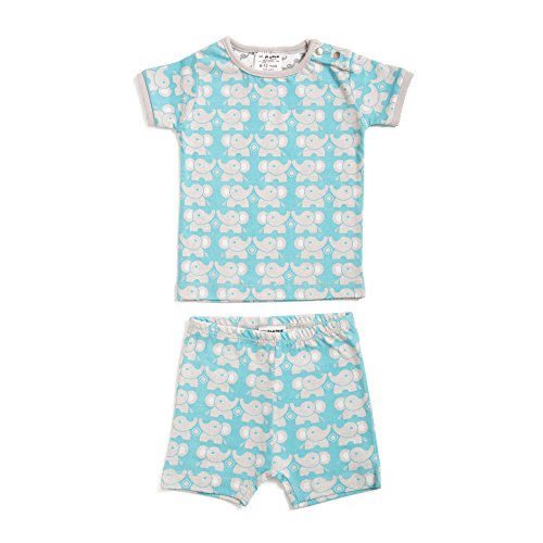baby deedee Short Sleeve Cotton 2 Piece Tee Shirt/Shorts and Pajama Play Set, Teal Elephant, 12-18 Months