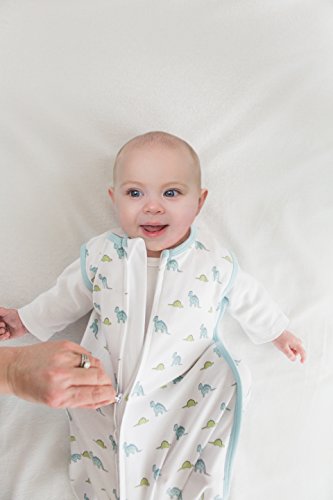 Amazing Baby Cotton Sleeping Sack, Wearable Blanket with 2-way Zipper, Pastel Blue Tiny Dinos, Large (12-18mo)
