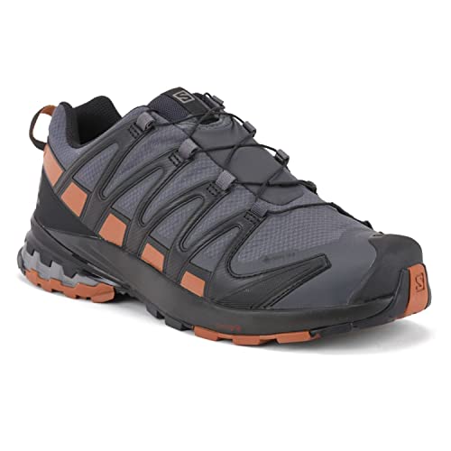 Salomon Men's XA PRO 3D v8 Gore-TEX Trail Running Shoes, Ebony/Caramel Cafe/Black, 9 Wide