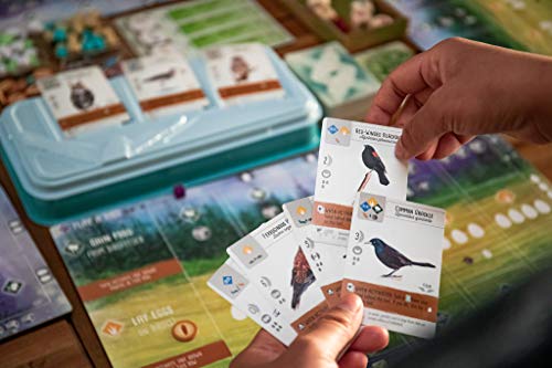 Stonemaier Games Wingspan Board Game - A Bird-Collection, Engine-Building STONEMAIER Game for 1-5 Players, Ages 14+
