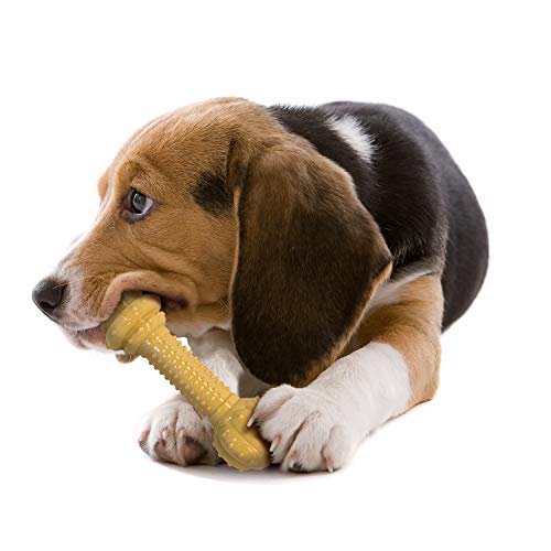 Nylabone Barbell Power Chew Durable Dog Toy Peanut Butter Medium/Wolf (1 Count)