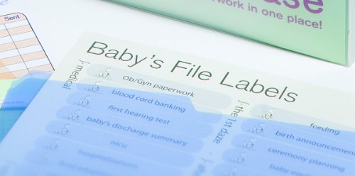 Baby Briefcase Baby Paperwork Organizer, Mint/Periwinkle