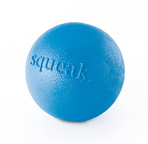 Planet Dog Orbee-Tuff Squeak Ball Blue Dog Fetch Toy