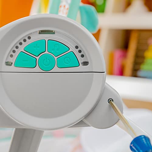 Bright Starts Whimsical Wild Portable Compact Automatic Deluxe Baby Swing with Music and Taggies, Newborn and up