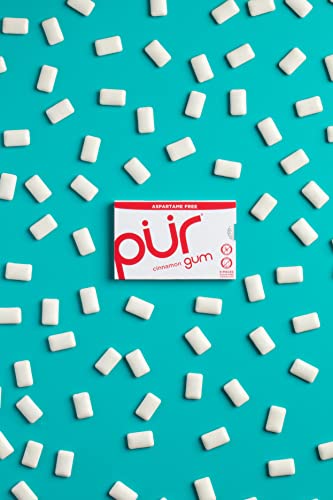 PUR Gum | Sugar Free Chewing Gum | 100% Xylitol | Vegan, Aspartame Free, Gluten Free and Keto Friendly | Natural Cinnamon Flavored Gum, 9 Pieces (Pack of 12)