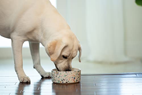 Dental Fresh Advanced Whitening Water Additive, 17oz – Dog Breath Freshener Formula to Hep Overall Dog Dental Care and Brighten Teeth