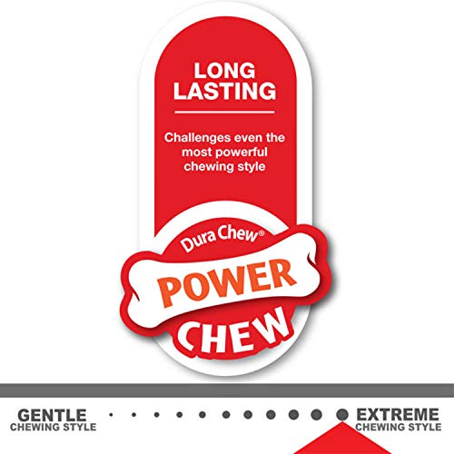 Nylabone Power Chew X-Shaped Dog Bone Chew Toy Bone Beef Small/Regular (1 Count)