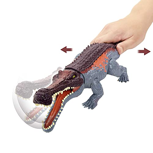 Jurassic World Toys Massive Biters Sarcosuchus Larger-Species Dinosaur Action Figure, Tail-Activated Strike and Chomp Action