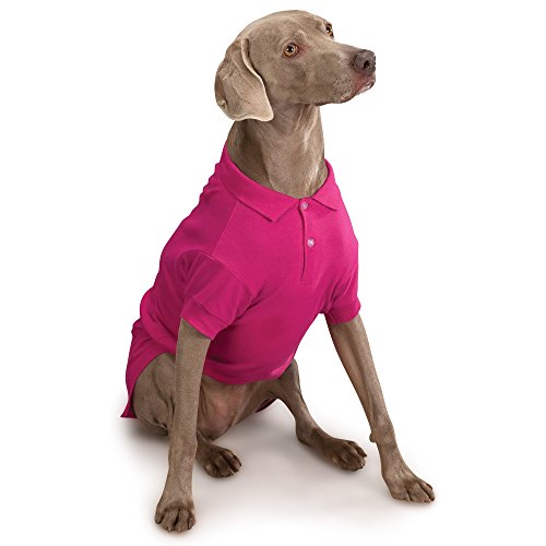 Zack and Zoey Cotton Polo Shirt for Dogs, 24' X-Large, Raspberry Sorbet