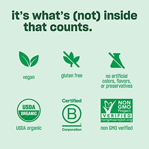 Vega Organic All-in-One Vegan Protein Powder Berry (9 Servings) Superfood Ingredients, Vitamins for Immunity Support, Keto Friendly, Pea Protein for Women and Men, 12.1oz (Packaging May Vary)