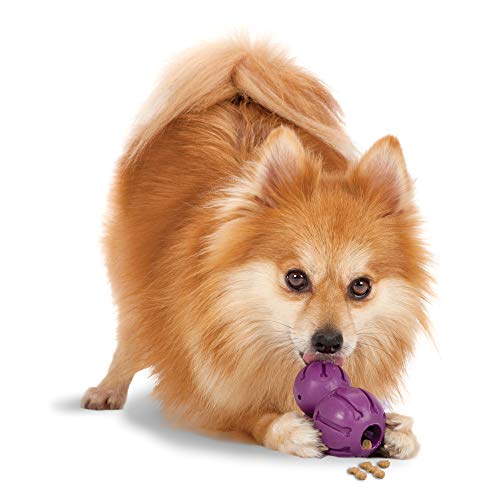 PetSafe Busy Buddy Barnacle - Dog Chew Toy - Treat Dispensing Dog Toys Small