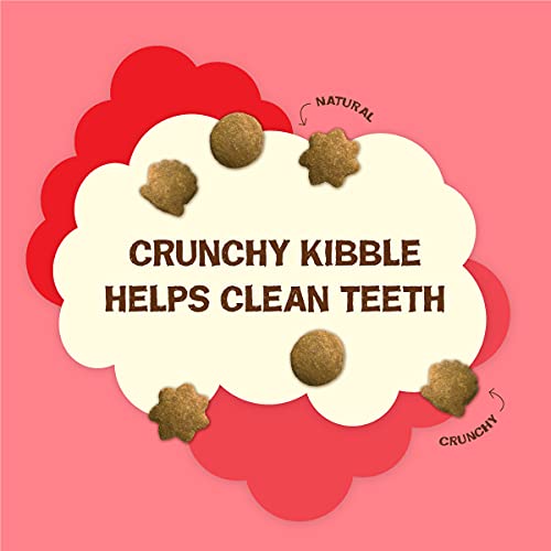 Purina Friskies Natural Cat Treats, Party Mix Natural Yums With Real Salmon and Vitamins, Minerals and Nutrients - (10) 2.1 oz. Pouches