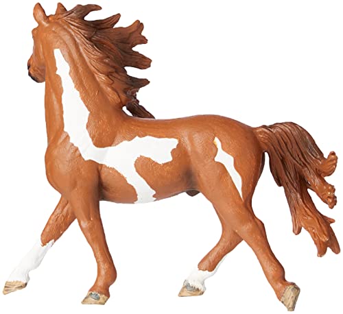 Pinto Stallion, Model: 13794