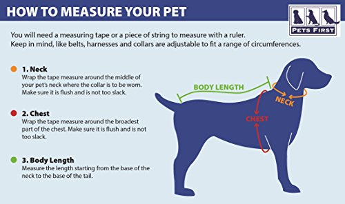 NCAA College Nebraska Huskers Mesh Jersey for DOGS and CATS, X-Small. Licensed Big Dog Jersey with your Favorite Football/Basketball College Team