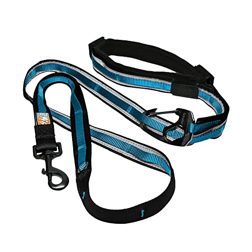 Kurgo 6 in 1 Hands Free Dog Leash , Reflective Running Belt Leash for Dogs, Crossbody and Waist Belt Leash, Carabiner clip, Padded Handle, For Training, Hiking, or Jogging, Quantum Leash, Coastal Blue