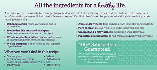 Health Extension Dry Dog Food, Natural Food with Added Vitamins and Minerals, Suitable for All Puppies, Grain Free, Duck Recipe with Whole Vegetable and Berries (4 Pound)