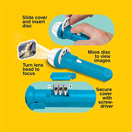 Brainstorm Toys: Shark Torch and Projector, Projects 24 Fascinating Colour Shark Images onto Walls and Ceilings, Includes 3 Slide Discs, Batteries Included, For Ages 3 and up