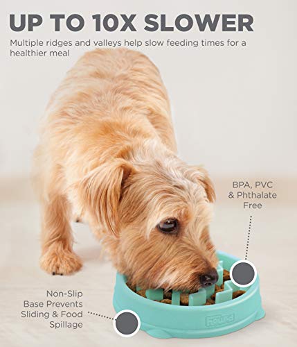 Outward Hound Fun Feeder Slo Bowl, Slow Feeder Dog Bowl, Small/Tiny, Mint