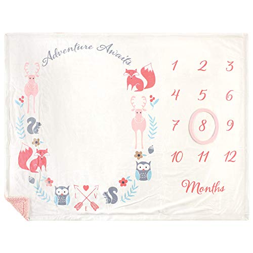 Hudson Baby Unisex Baby Plush Holiday and Milestone Blanket, Girl Adventure Awaits, One Size