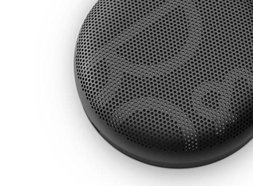Bang and Olufsen Beosound A1 (2nd Generation) Wireless Portable Waterproof Bluetooth Speaker with Microphone, Sport