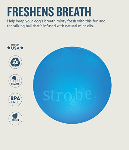 Planet Dog Orbee-Tuff Strobe Ball Blue Light Up LED Dog Toy