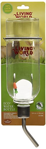 Living World Eco + Water Bottle, 26-Ounce
