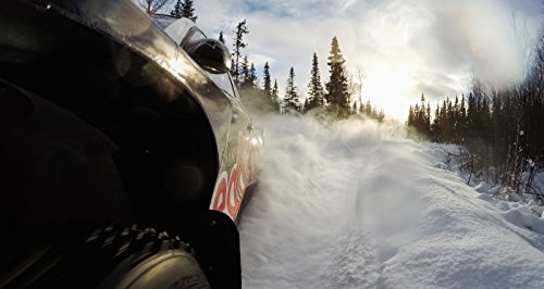 GoPro Suction Cup Mount (Official), Black