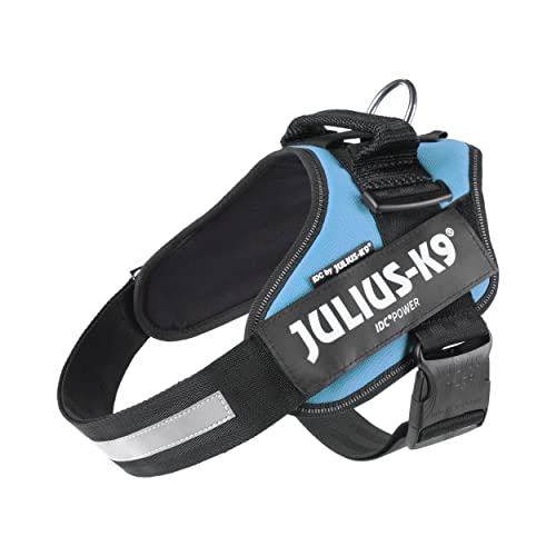 IDC Powerharness, Size: L/1, Aquamarine
