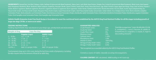 Health Extension Dry Dog Food, Natural Food with Added Vitamins and Minerals, Suitable for All Puppies, Include Duck Recipe with Whole Vegetable and Berries (4 Pound)