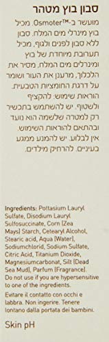 AHAVA Dead Sea Purifying Mud Soap, 3.4 oz