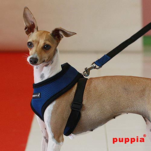 Puppia Soft Dog Harness No Choke Over-The-Head Triple Layered Breathable Mesh Adjustable Chest Belt and Quick-Release Buckle, Royal Blue, Large