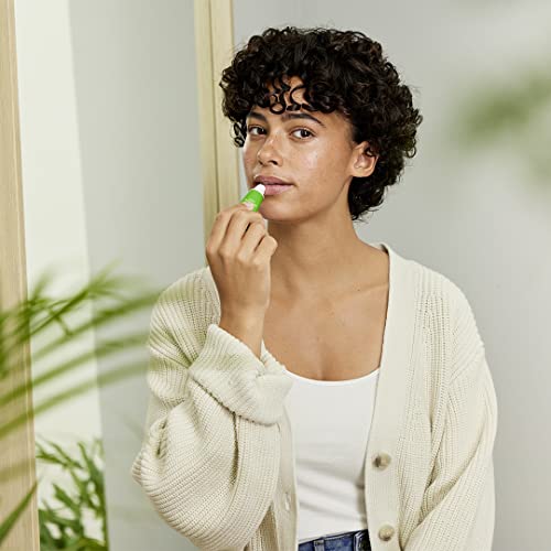 Weleda Skin Food Lip Butter, 0.27 Ounce, Plant Rich Moisturizing Lip Care with Sunflower Seed Oil, Chamomile and Calendula