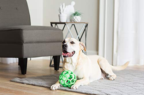 JW Hol-ee Roller Dog Fetch Treat Dispenser Puzzle Ball; Large 5.5 Inch Diameter