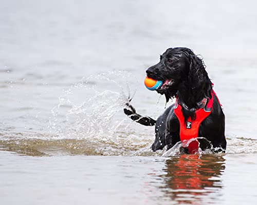 ChuckIt! Amphibious Fetch Balls, Set of 3