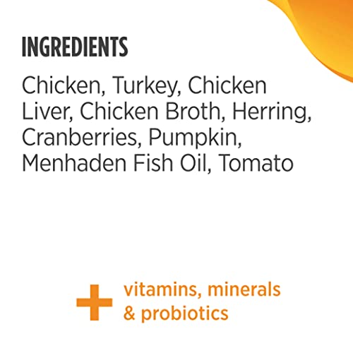 Nulo Freestyle Cat and Kitten Wet Pate Canned Cat Food, Premium All Natural Grain-Free, with 5 High Animal-Based Proteins and Vitamins to Support a Healthy Immune System and Lifestyle