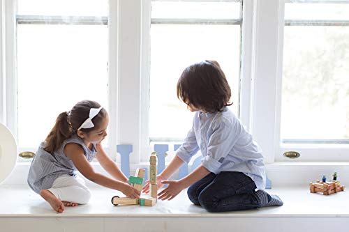 Tegu Magbot Magnetic Wooden Block Set, 1-99 years old, 9 pieces