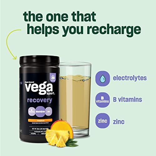 Vega Sport Recovery Apple Berry (20 Servings) Post Workout Recovery Drink for Women and Men, Electrolytes, Carbohydrates, B-Vitamins, Vitamin C and Protein, Vegan, Gluten Free, Dairy Free, 1.2lbs