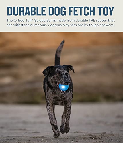 Planet Dog Orbee-Tuff Strobe Ball Blue Light Up LED Dog Toy