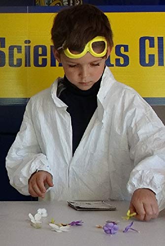 The Magic School Bus Rides Again: Exploring the Wonders of Nature By Horizon Group USA, Homeschool STEM Kits, Includes Educational Manual, Butterfly Net, Scavenger Hunt, Plaster, Game Cards and More