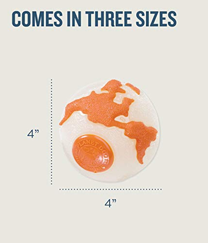 Planet Dog Orbee-Tuff Durable Chew-Fetch Ball Dog Toys