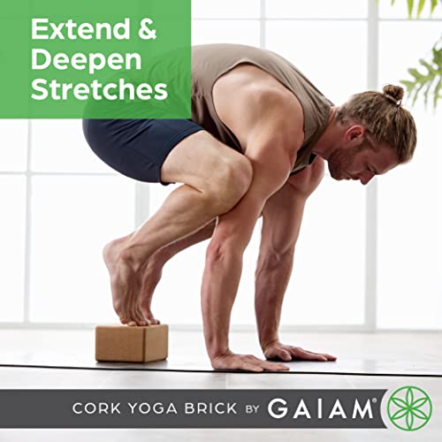 Gaiam Cork Yoga Brick