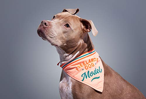 Brass Monkey Freelance Dog Model Dog Bandana – Durable Cotton Pet Bandana, One Size Fits Most – 9” W x 6” H with 30” Tie Ribbon – Cute Dog Accessories with Eye-Catching Design, Perfect for Dog Lovers