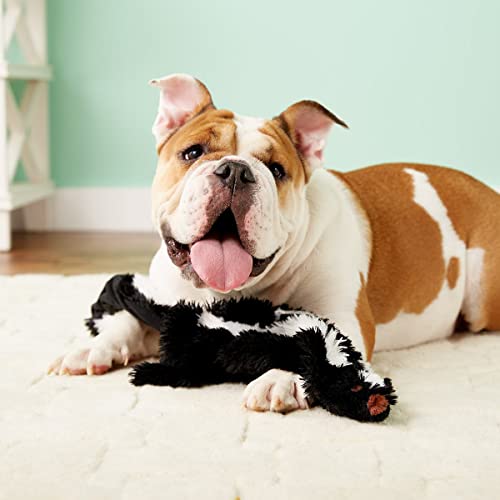 SPOT by Ethical Products Skinneeez - The Original Stuffless Stuffingless Dog Toys - Squeak Toys Tug Toy Small Dog and Large Dog Puppy Chew Toy Alternative Interactive Dog Toy- Skunk - Large